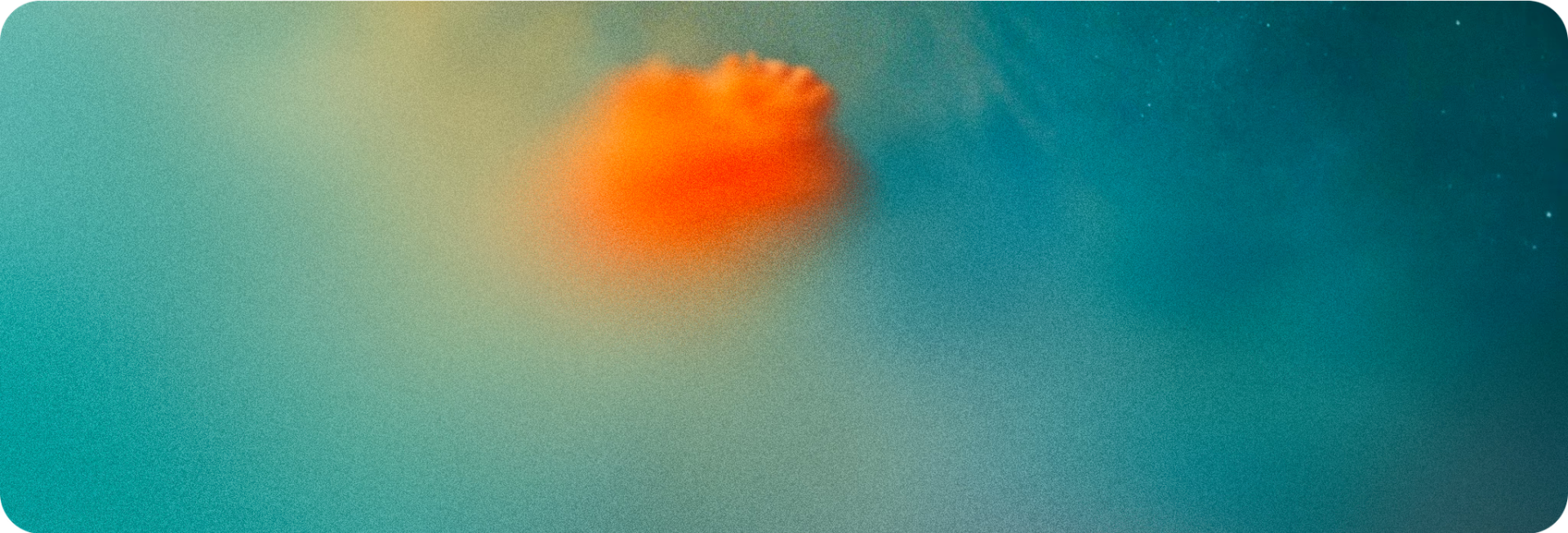 Visualizer Dashboard