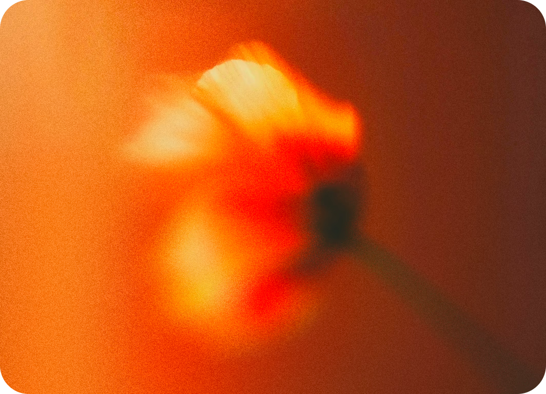 Other agencies background